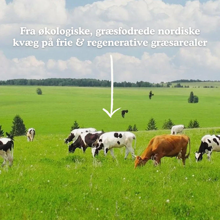 Functional Future Luomu Bone Broth Kollageeni (250 g)
